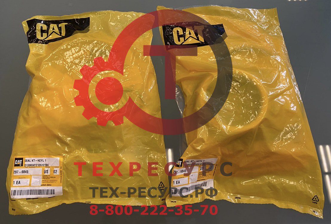 2976845 1 2976845 Ремкомплект гидроцилиндра Caterpillar — изображение 1